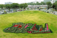 Suzanne Lorenz. The Bouquet of the Day. 2006. Making temporary flower bed following the graffiti model. 15x30 m. Wiesbaden
